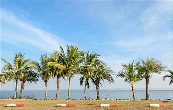 cầu bạch thủ lô hôm nay