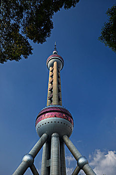 rong bach kim 2 nhay