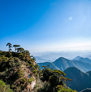 soi cau bach thu sieu chuan