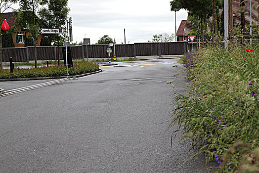 soi cau 123 net hom nay