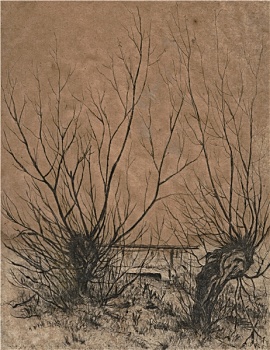 soi cau may man