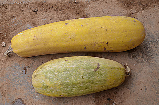 soi cầu lô miền bắc 3s