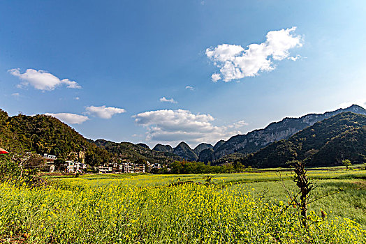 soi cau lo bach thu mb